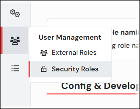 The Security Roles menu item.